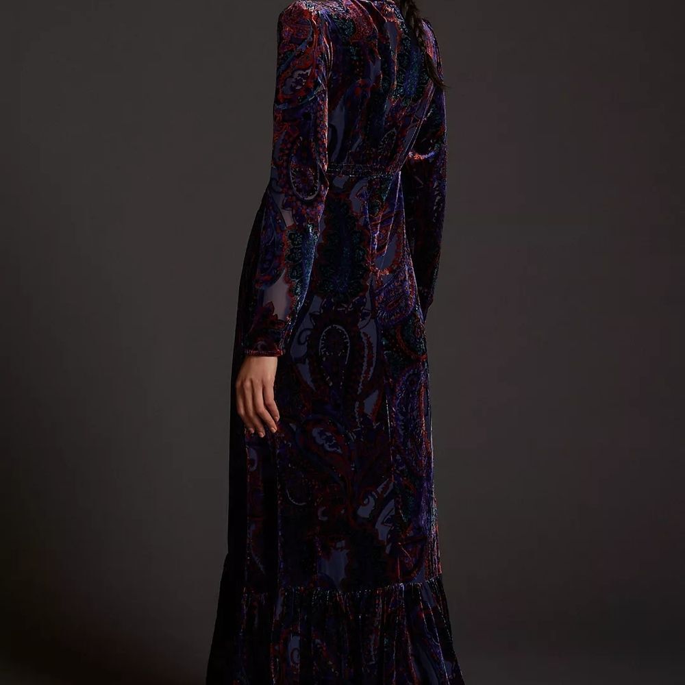 Anthropologie Paisley Velvet Burnout Long Sleeve Dress - Picture 9 of 11